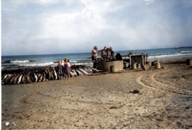 Wallis Photos/RobertTrevor0002-Colorized-Enhanced.jpg